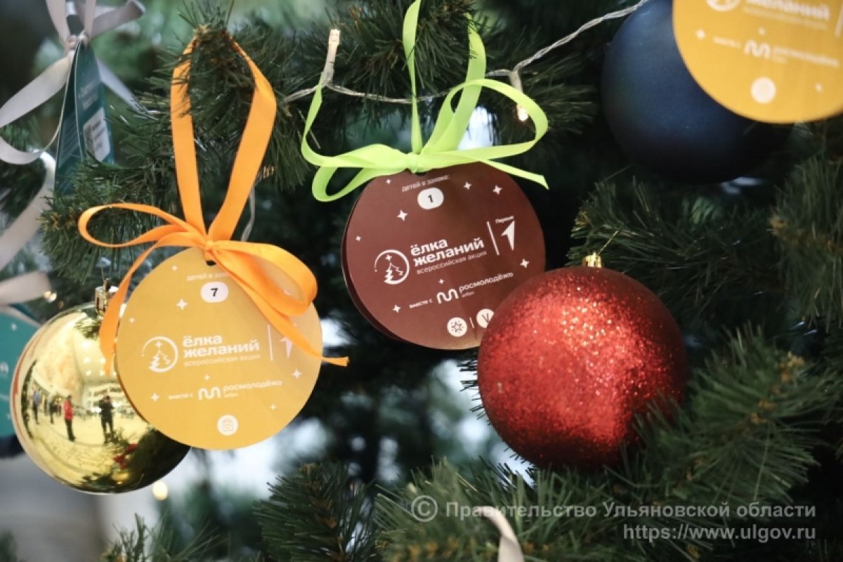    Ульяновские футболисты подарили подростку из Барыша палатку и мяч