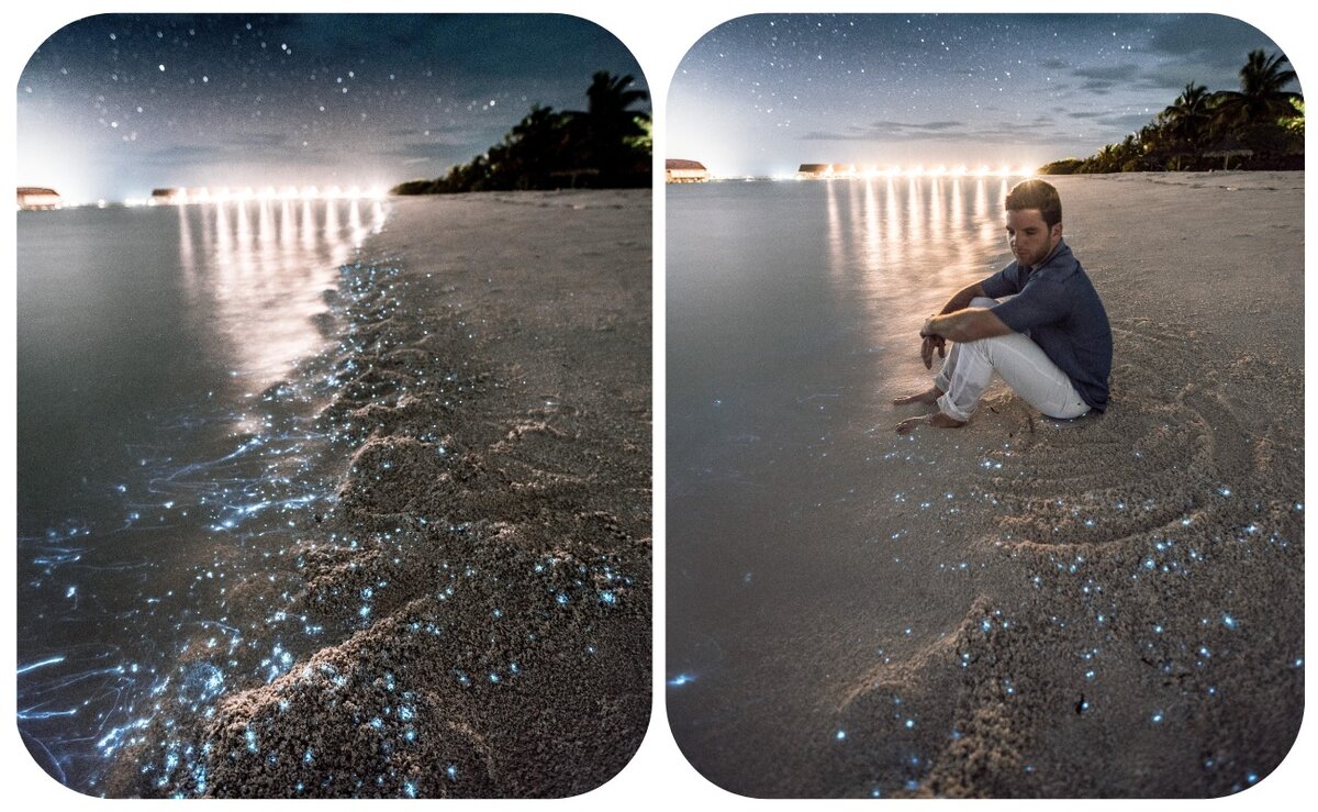 Фото: Kevin Wolf on Unsplash. Сентябрь 2018-го, Мальдивы.