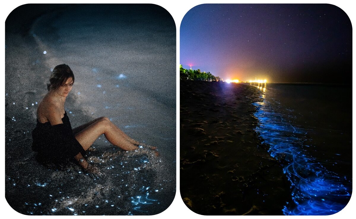 Фото:  Hushaan @fromtinyisles, Kevin Wolf on Unsplash. Мальдивы. 