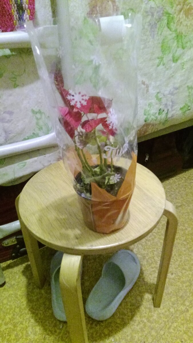 Подарок 