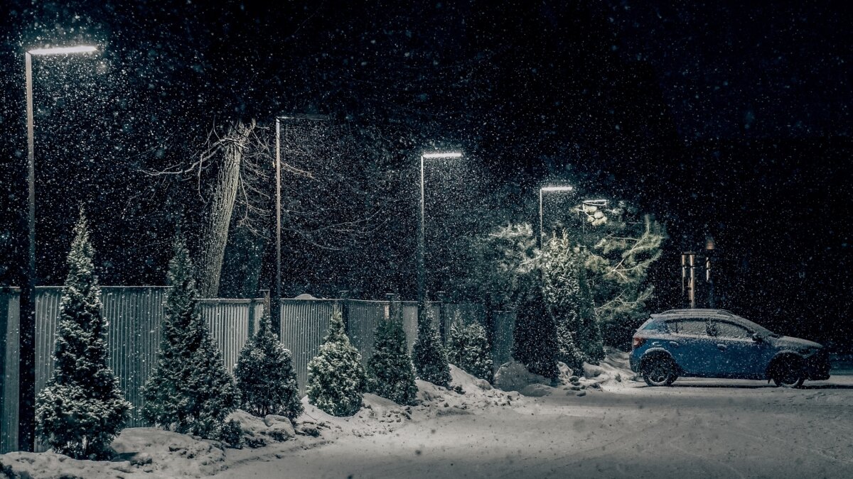 Светлана Мулыкина📷
