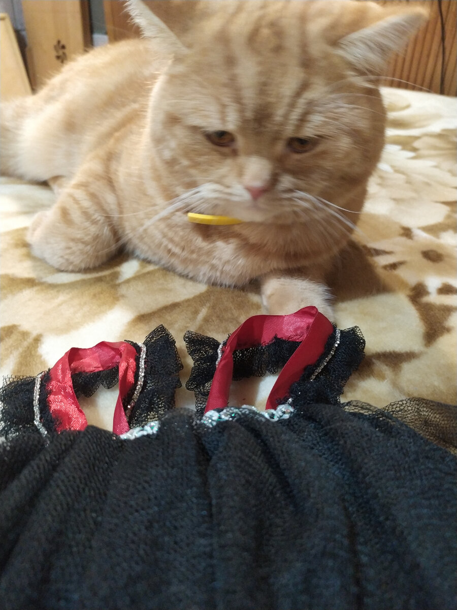 Источник: мой телефон. 