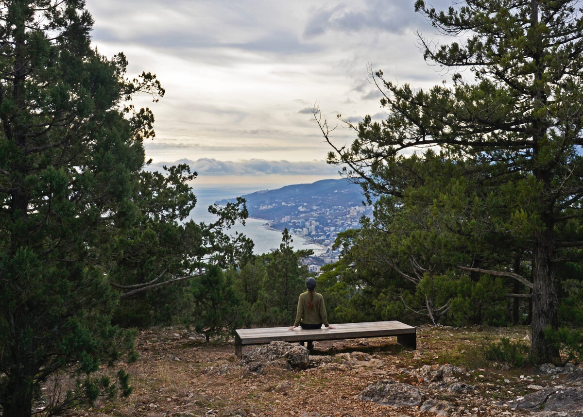 Массандровская тропа // Фото: Юлия Балахтинова / со страницы ФГБУ «Заповедный Крым» в ВКонтакте