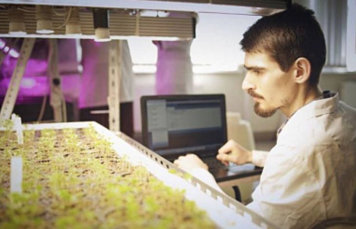    Крупные селекционные проекты утверждены Минсельхозом РФ в рамках ФНТП