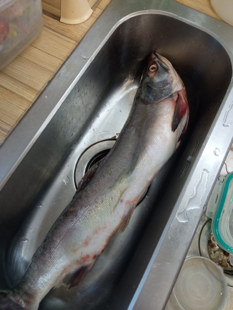 Моя вытянула на 355 рублей