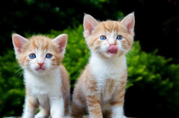 Источник фото: happypik.ru