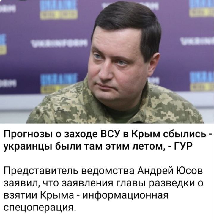 Новый год в Крыму будет без снега. С наступающим! | Мысли Бабы Яги | Дзен