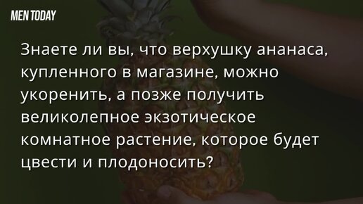 Можно ли вырастить дома ананас из верхушки? Ловите лайфхак