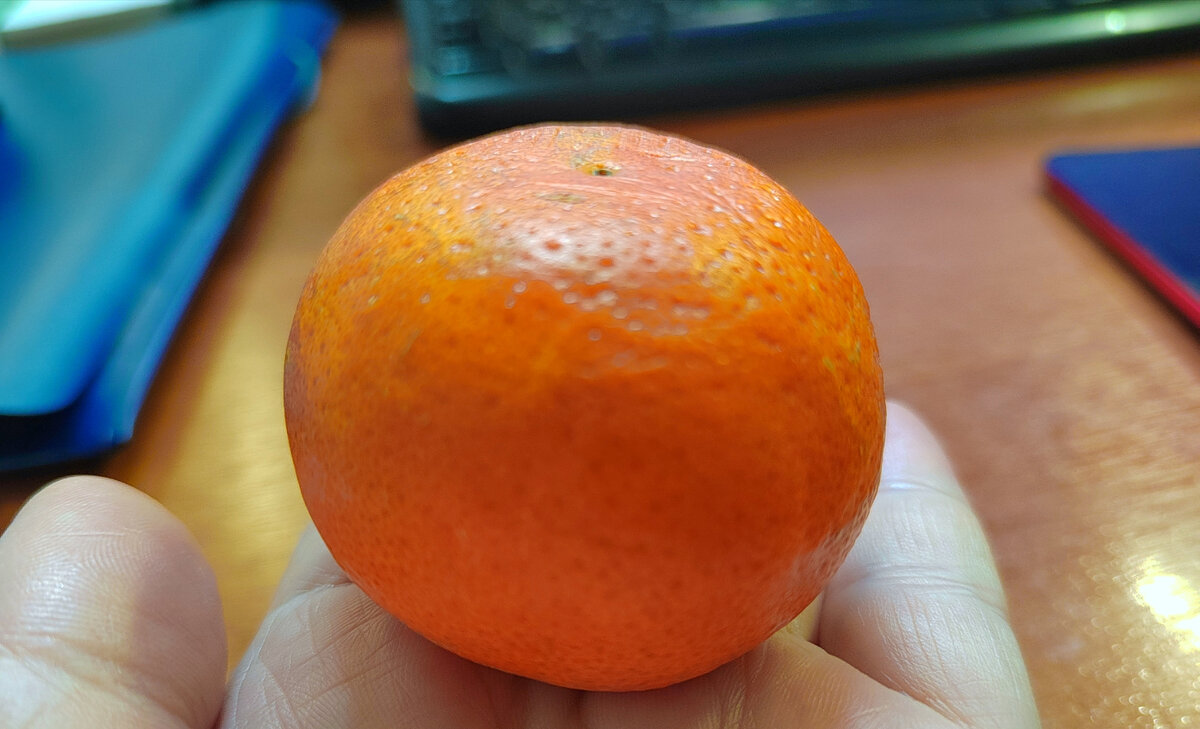 Фото автора канала.