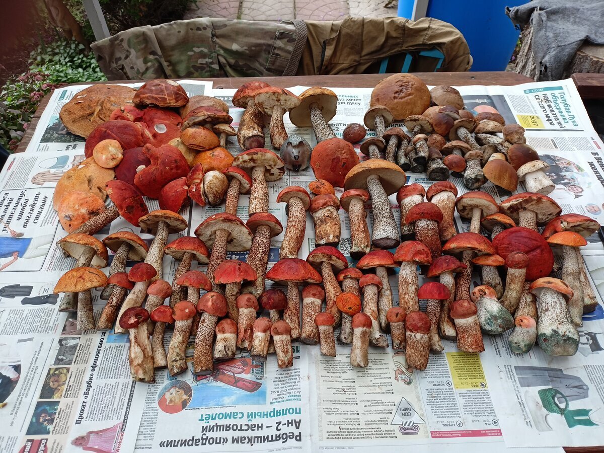 Автор фото Михаил