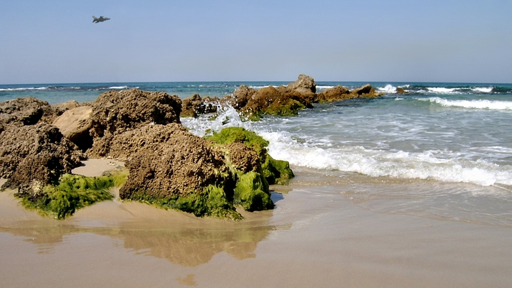 © EFI KEREN/RUSSIAN LOOK/GLOBALLOOKPRESS 