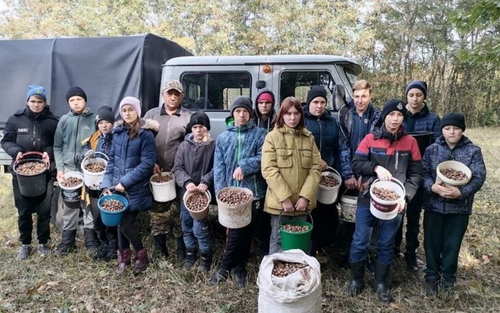    В Курской области выполнен показатель по запасу местных семян лесных растений