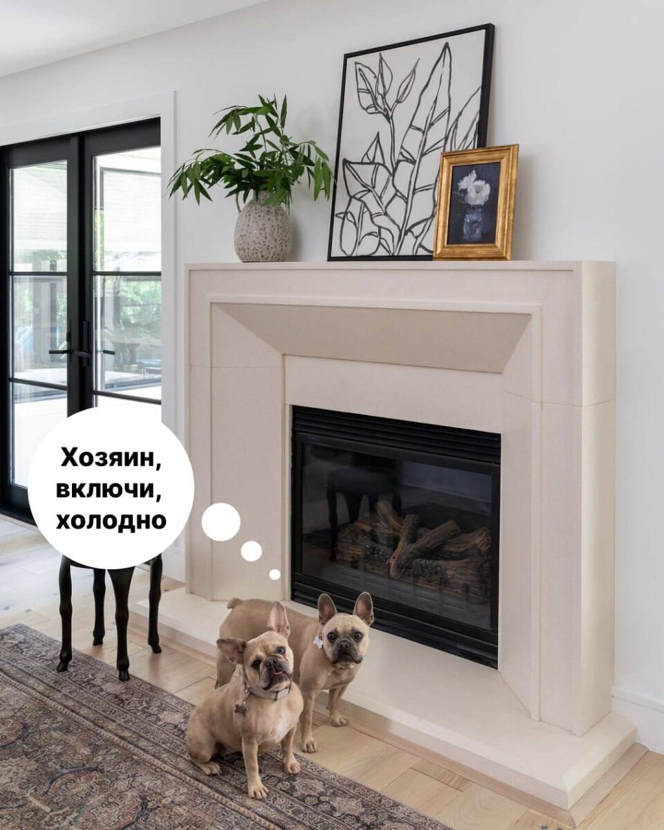 ОПАСЕН ЛИ БИОКАМИН ДЛЯ ДОМАШНИХ ЖИВОТНЫХ