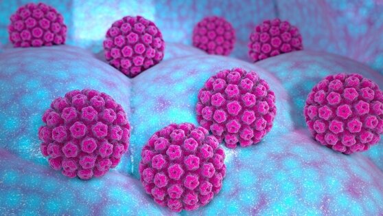    ВПЧ: чем опасен и почему нужно сдавать анализ на него каждый год Ирина Петрова