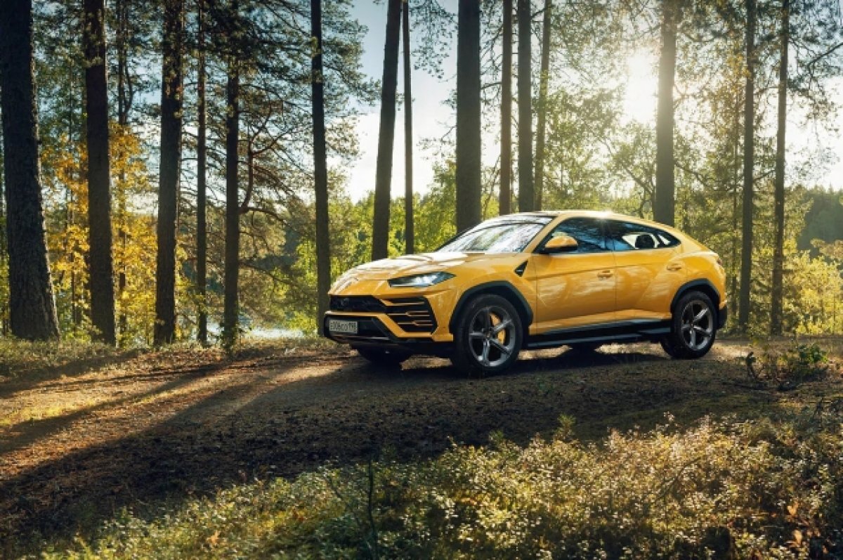    Дизайнер мебели из Петербурга угнал под наркотиками Lamborghini за 50 млн