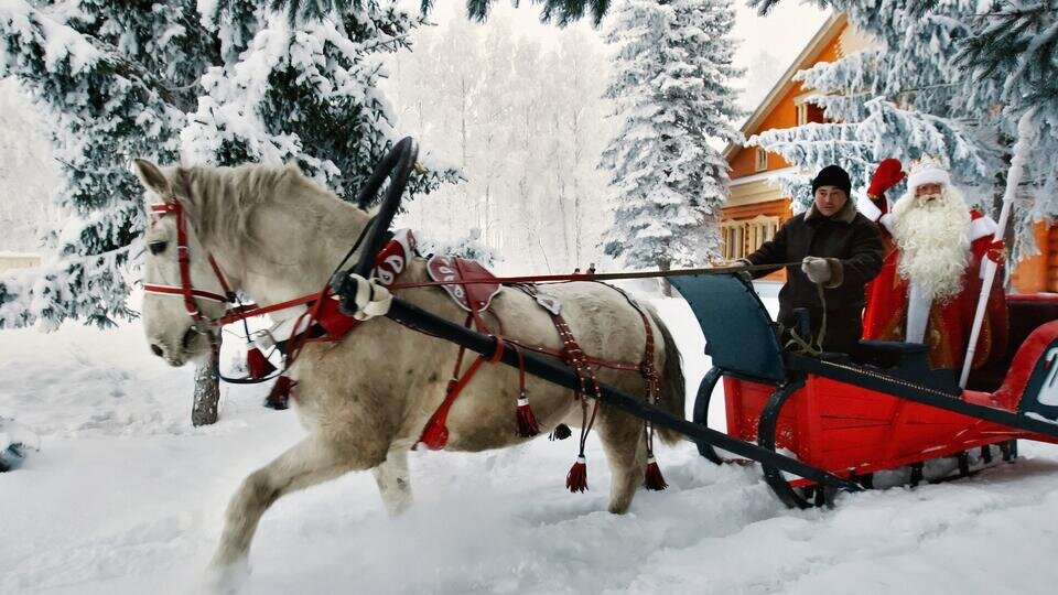 Фото: © РИА Новости/Максим Богодвид