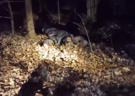    Польские пограничники убили очередного беженца и подкинули белорусским коллегам