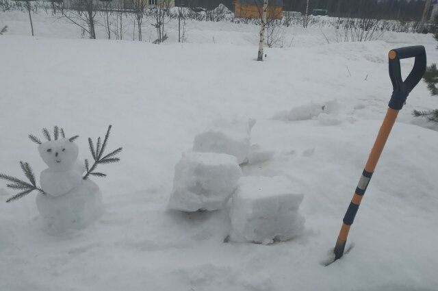    Фото:  АиФ/ Светлана Худеньких