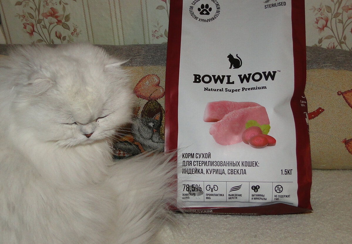 Наша главная кошка Касуми (кастрированная) и корм.