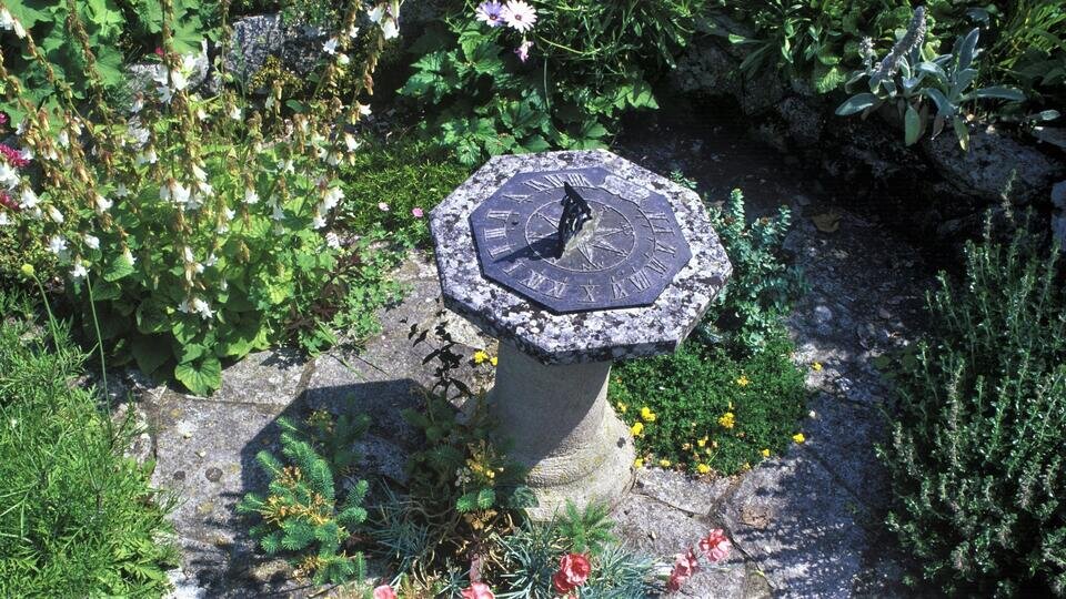 Фото: © Global Look Press/imagebroker/Bob Gibbons/FLPA