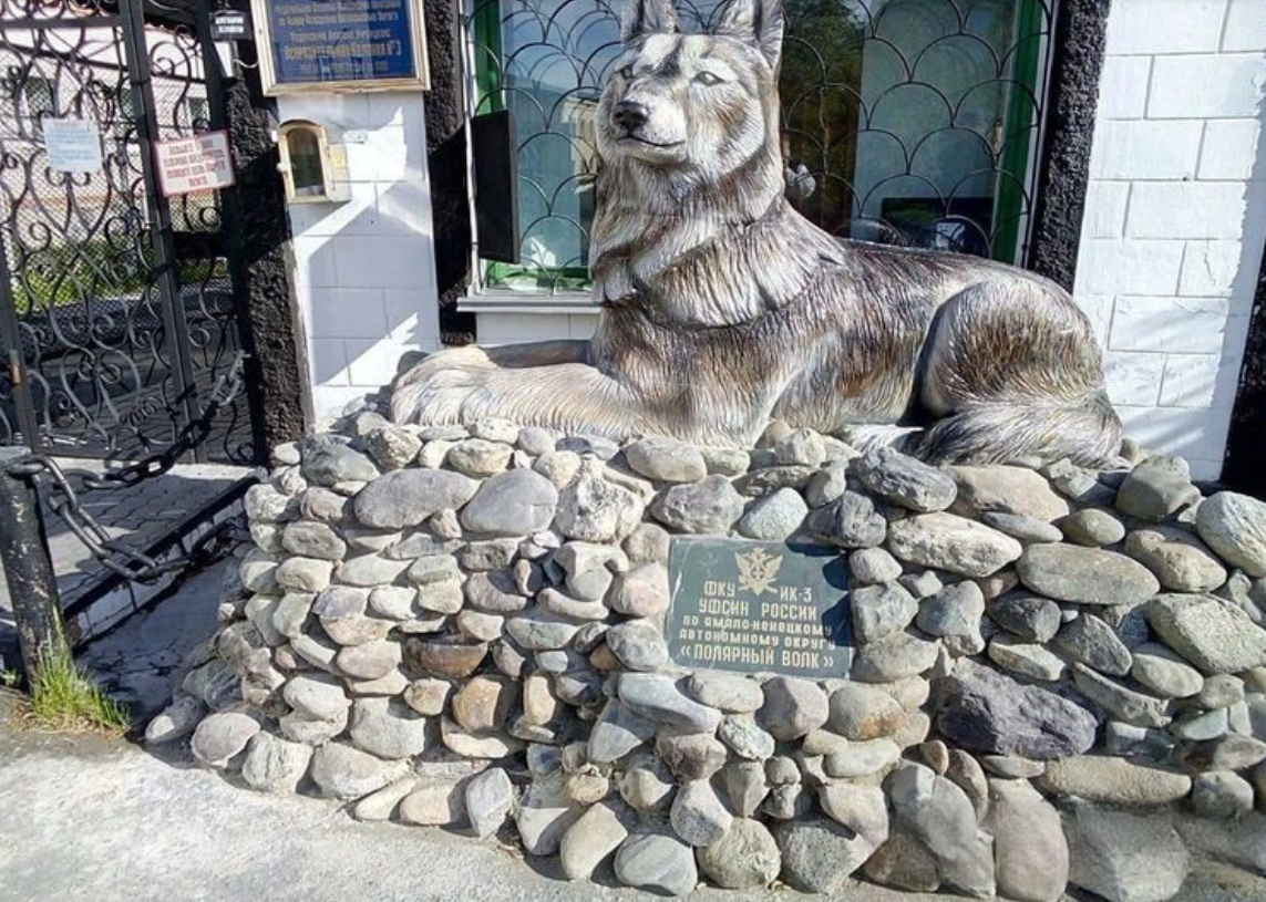 Ик3 полярный волк. Посёлок харп полярная сова. Ик-3 харп колонии «полярный волк. Ик3 полярный волк. Полярная сова тюрьма ик 18.