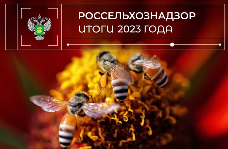    Ежегодно в России фиксируют массовую гибель пчел из-за пестицидов: меры Россельхознадзора