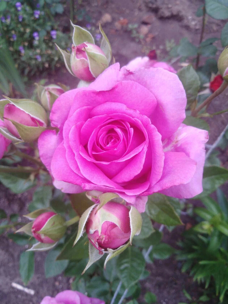 фото Татьяны