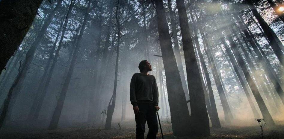 Виктор Константинос (в исполнении Альберто Амманна)