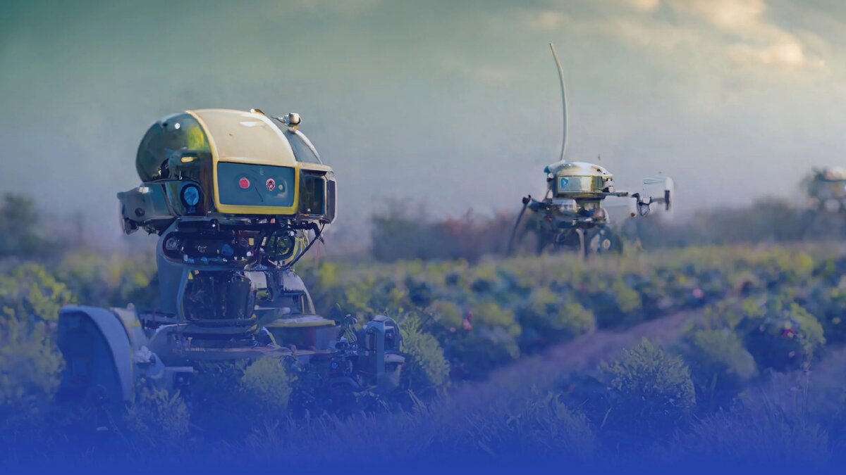 Искусственный интеллект, цифровые двойники, облачные технологии, регенеративное сельское хозяйство - что ещё ждёт вгробизнес?