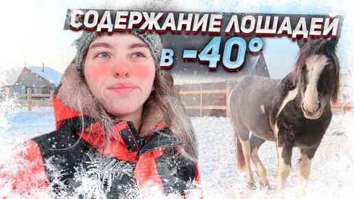 Как лошади пережили МОРОЗЫ - 40° | Уличное содержание