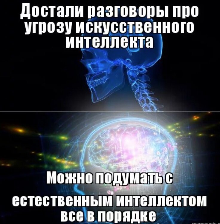 Мем из сети Интернет