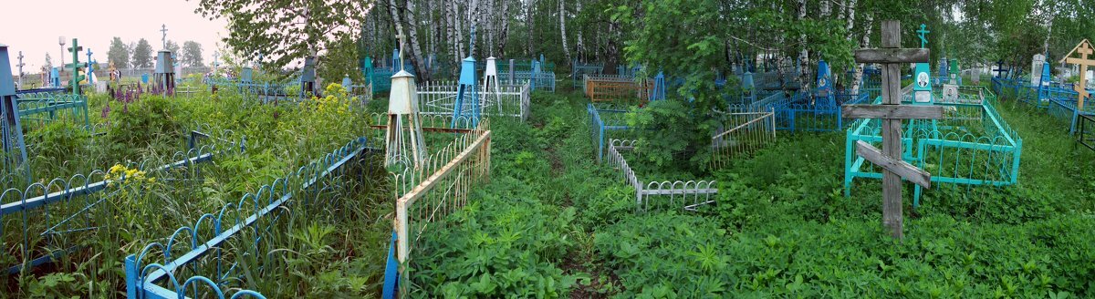 фото из интернета