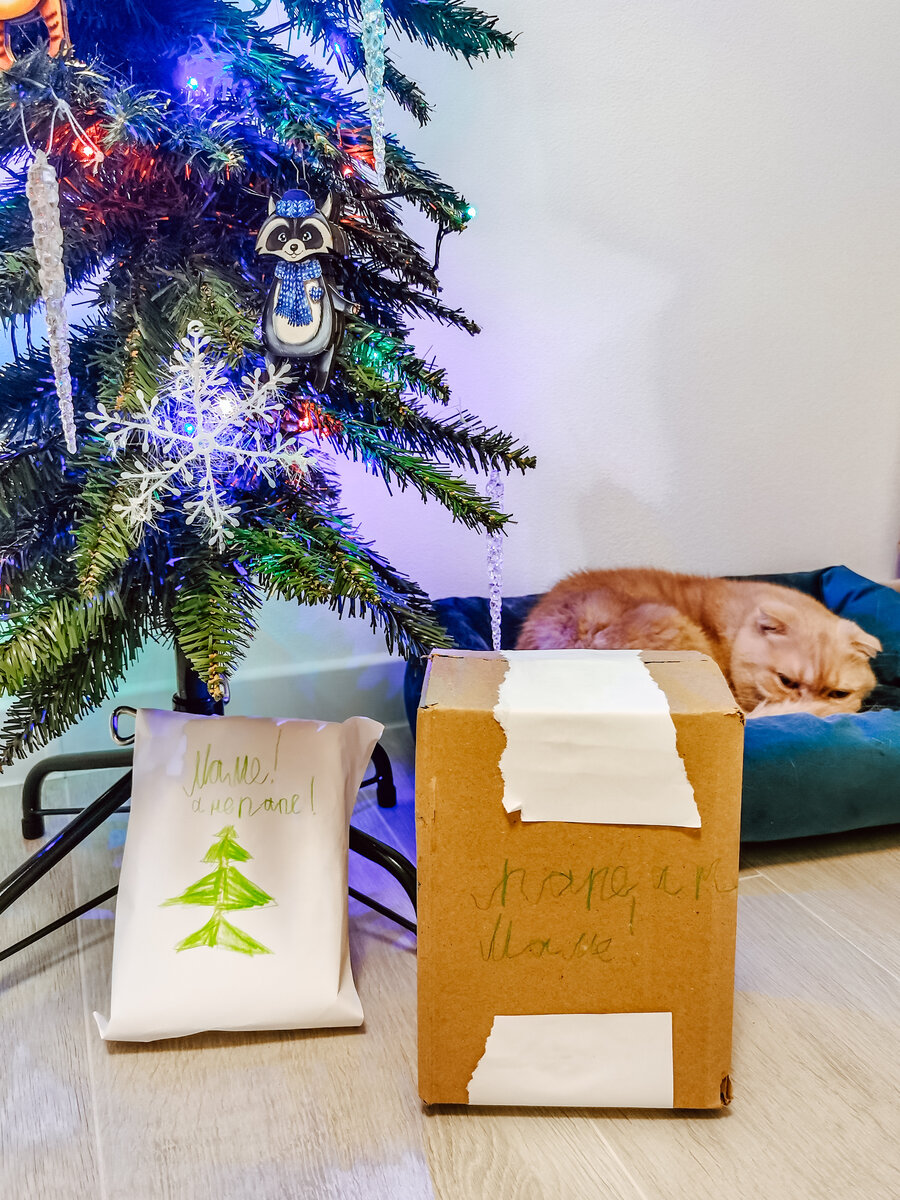 Подарки от сынули