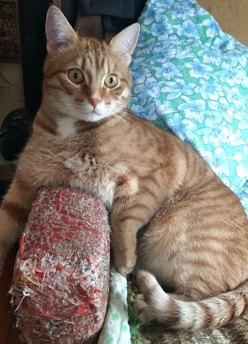 Личное  фото