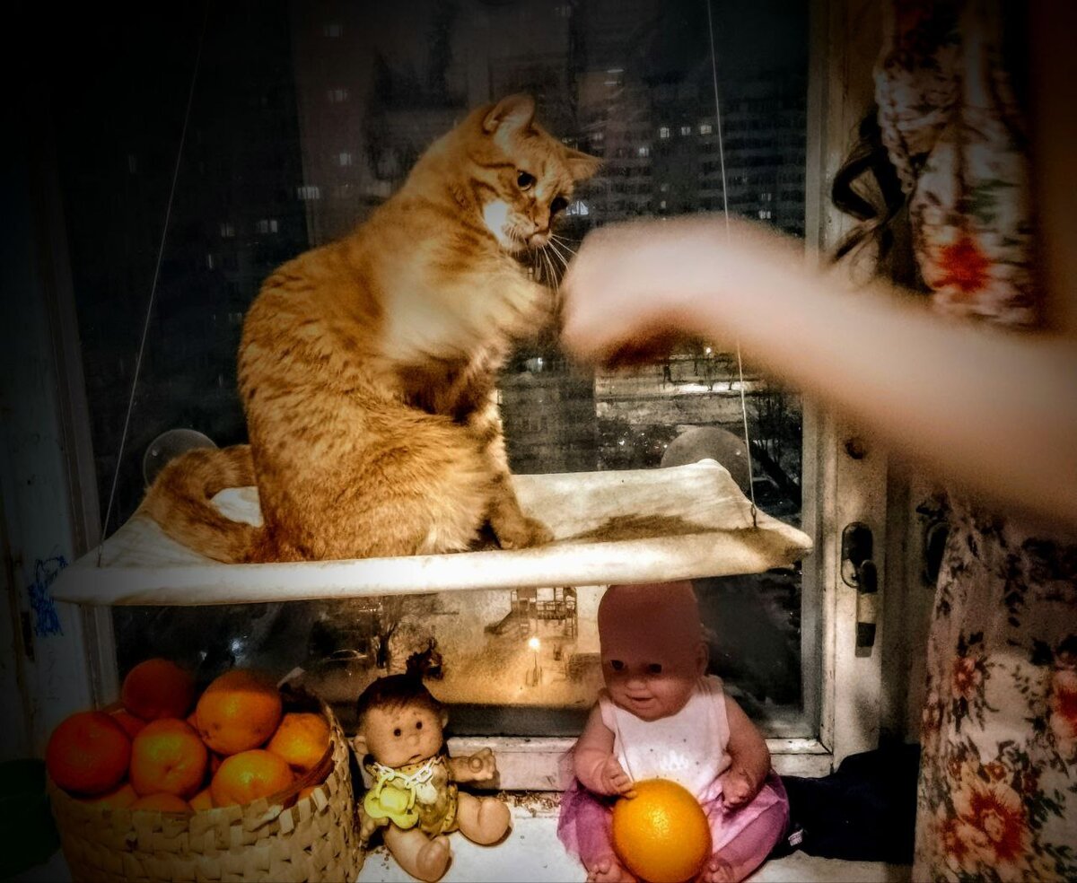 Роня забирает причитающееся царю