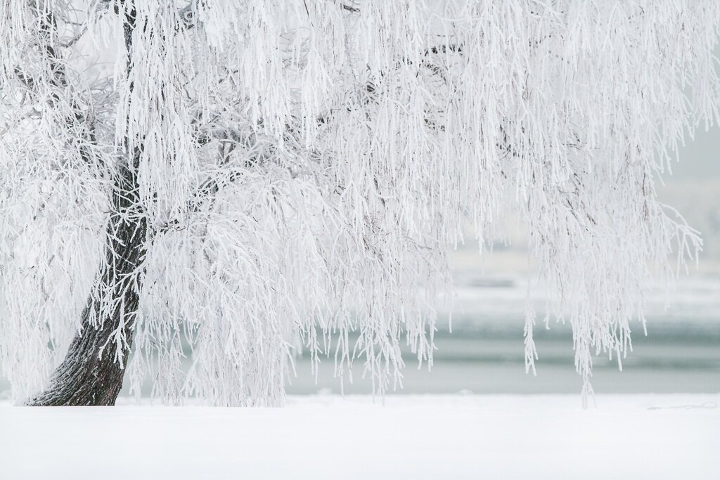   Фото: по лицензии, PxHere.com