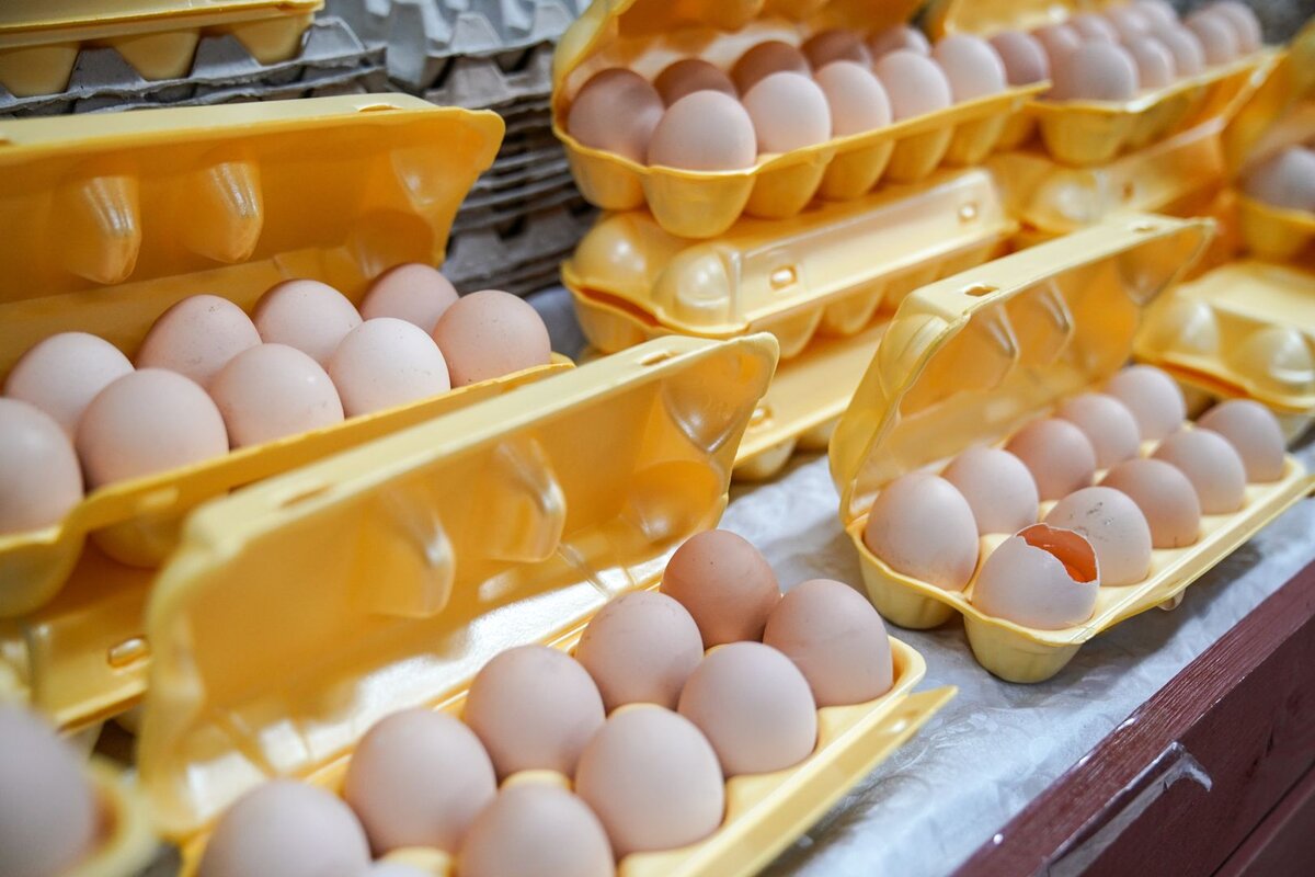    © ИЗВЕСТИЯ/Сергей Лантюхов