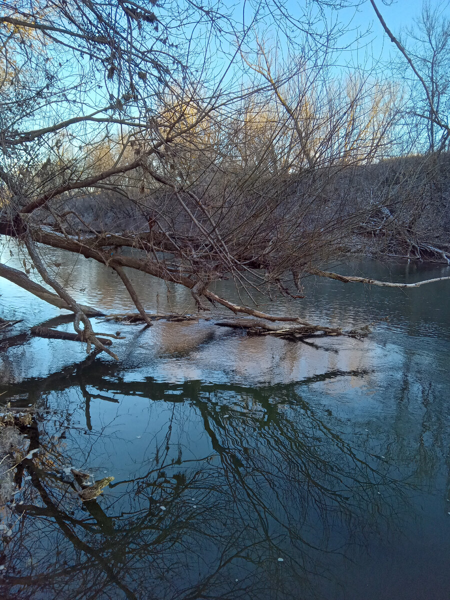 Река Меша: перекаты - омуты. Детство и Юность.