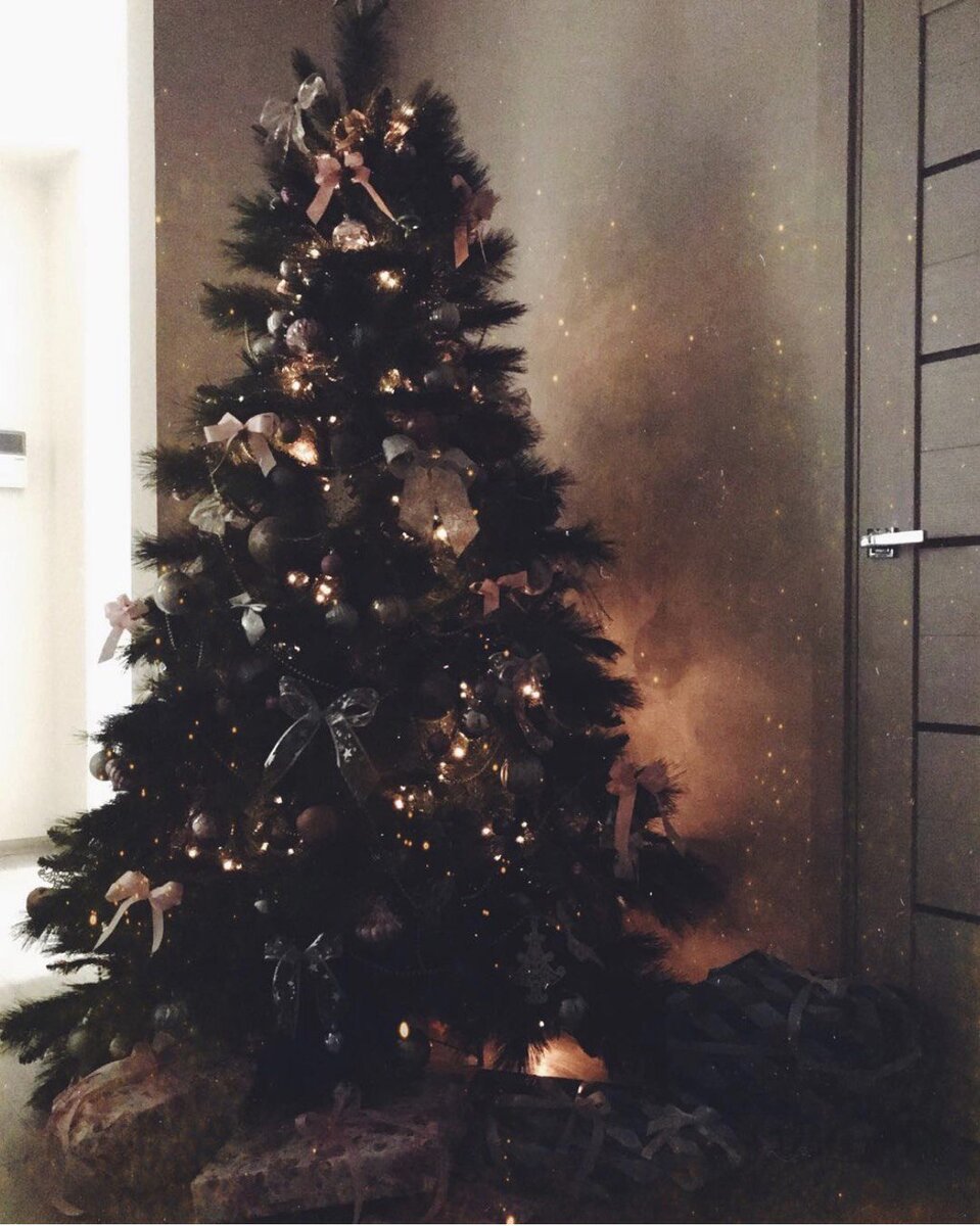 2015 год. Фото собственность автора