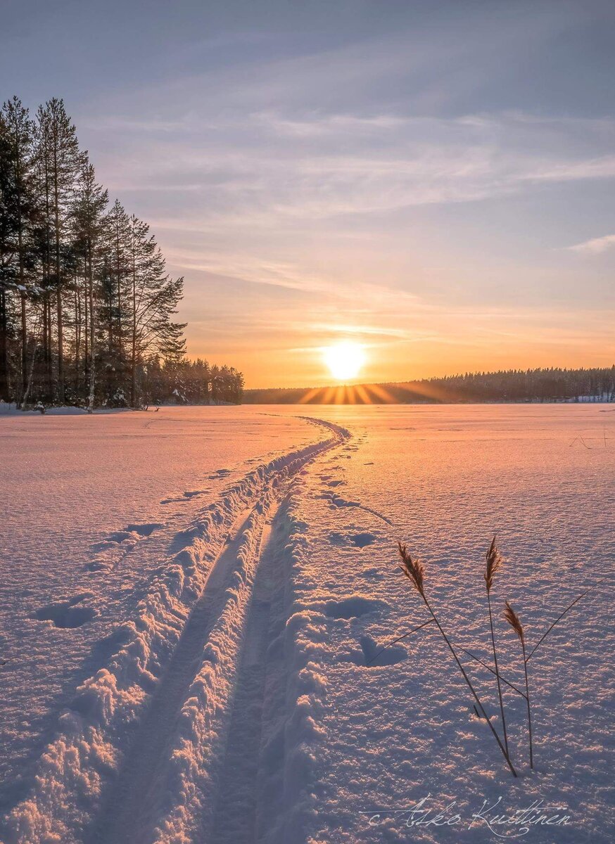 Яндекс. Открытый источник