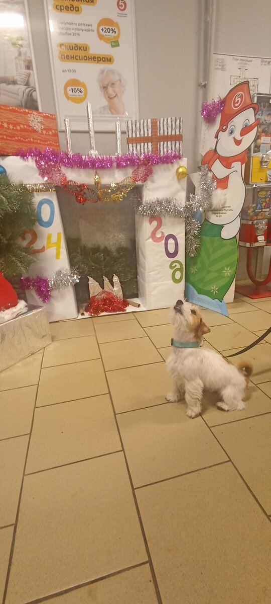 Румба в магазине