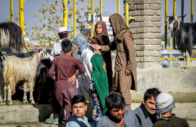 Козы - плата за мелкие проступки, дочери - за большие