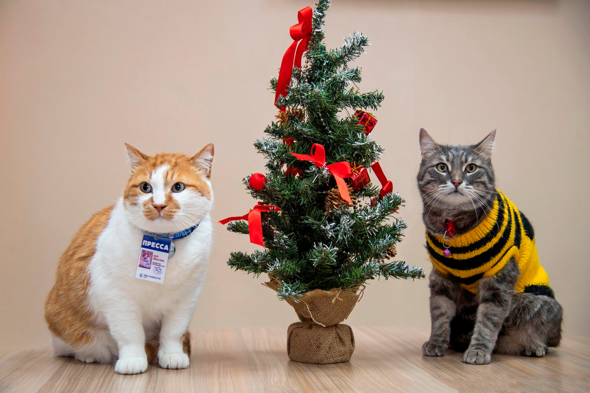 Фотографируйте быстрее. Нам срочно нужно обсудить рабочие вопросы.