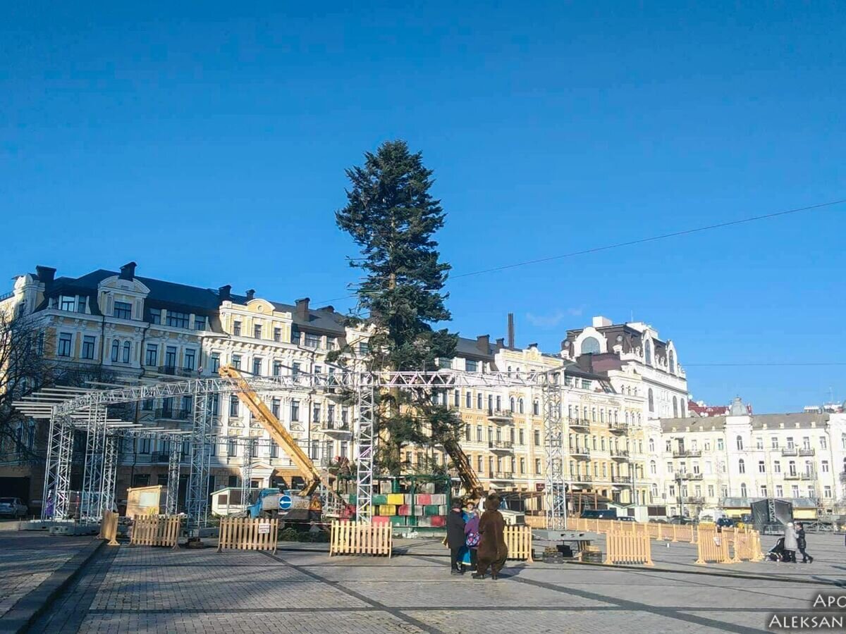    Новогодняя елка в Киеве© Фото : Александр Гончаров / Апостроф