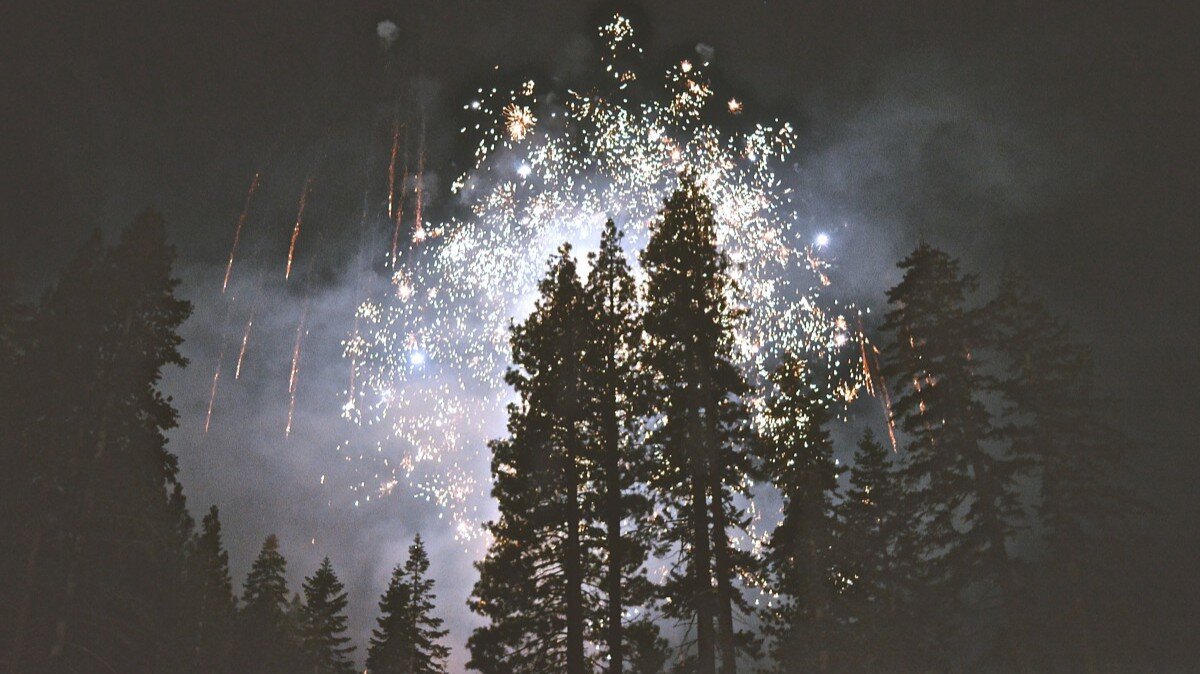    Фото: pxhere.com