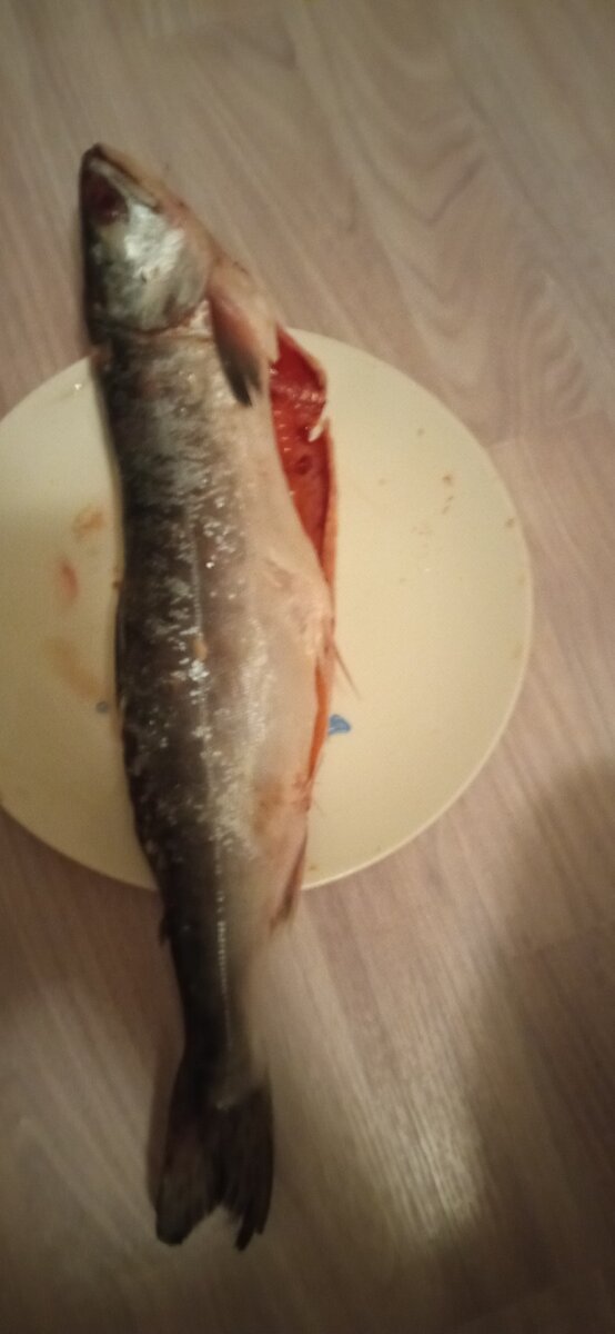 рыбка - лосось