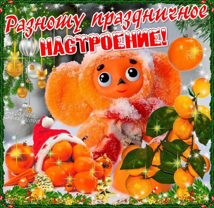 Позитивные животные. Радостная встреча. Настроение праздника. Настроение выходные. Праздничного настроения.