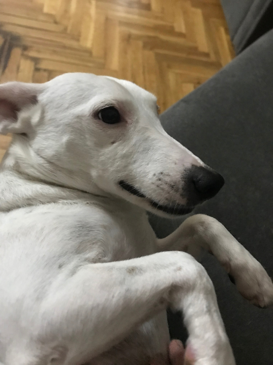 И это тоже Фырто