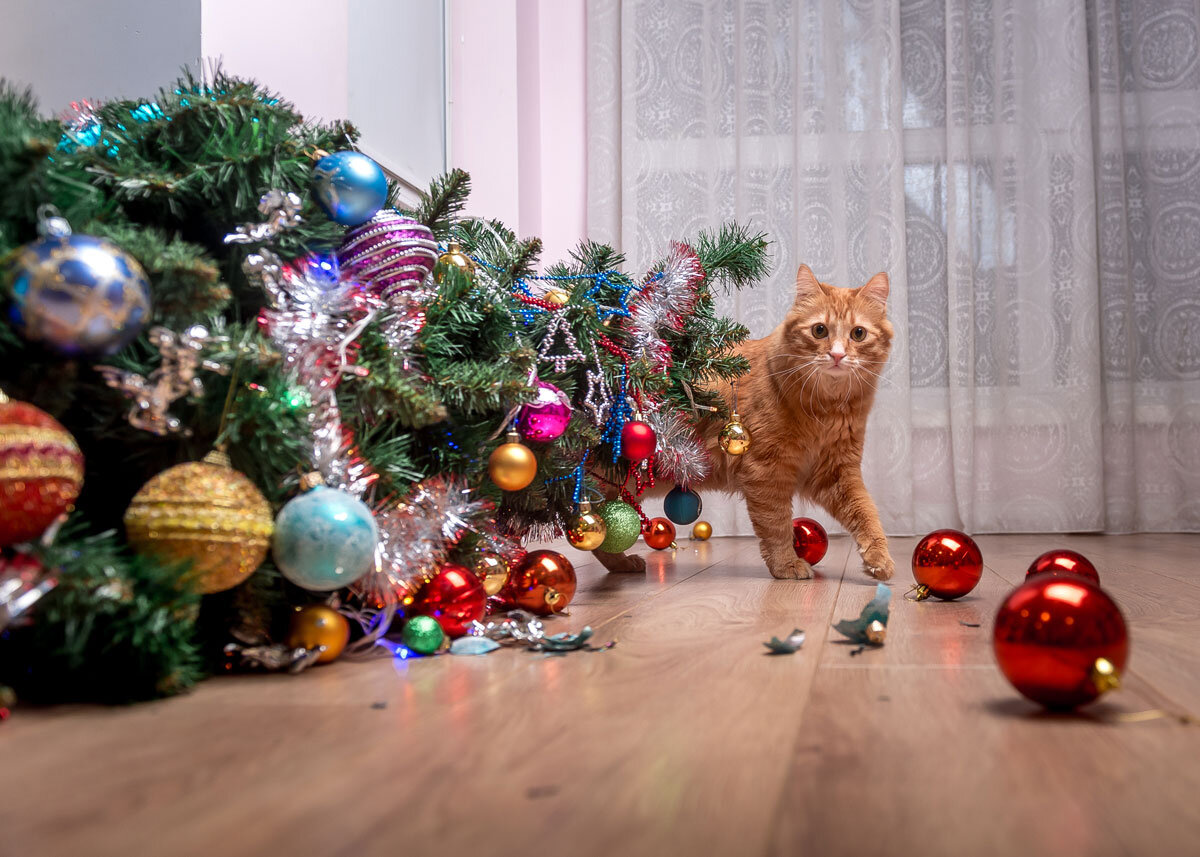 Фото: Shutterstock