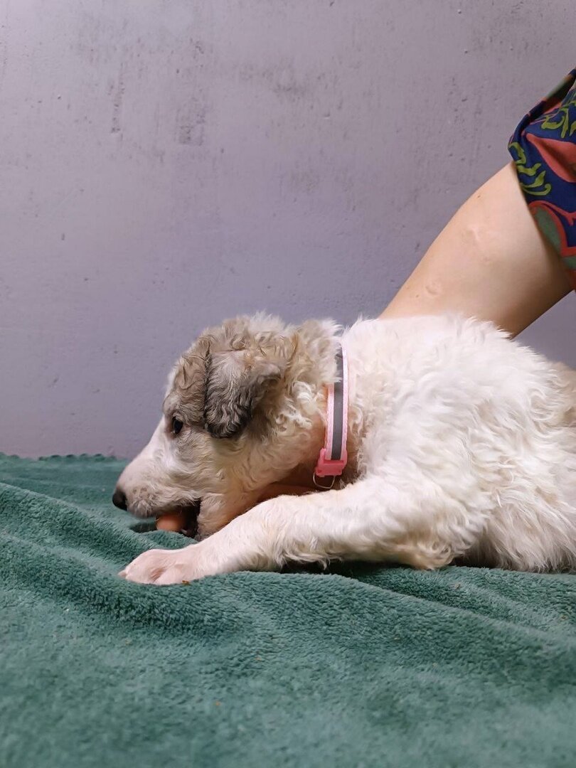 Фкусный пальчик у меня)